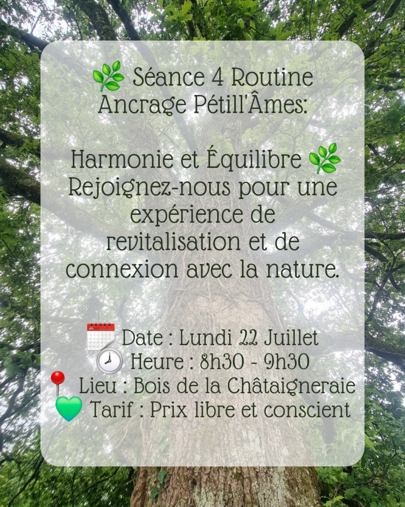 seance 4 routine Ancrage Petill'ames Clermont-Ferrand
